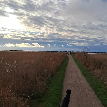 2 Person In Holiday home Ringkobing