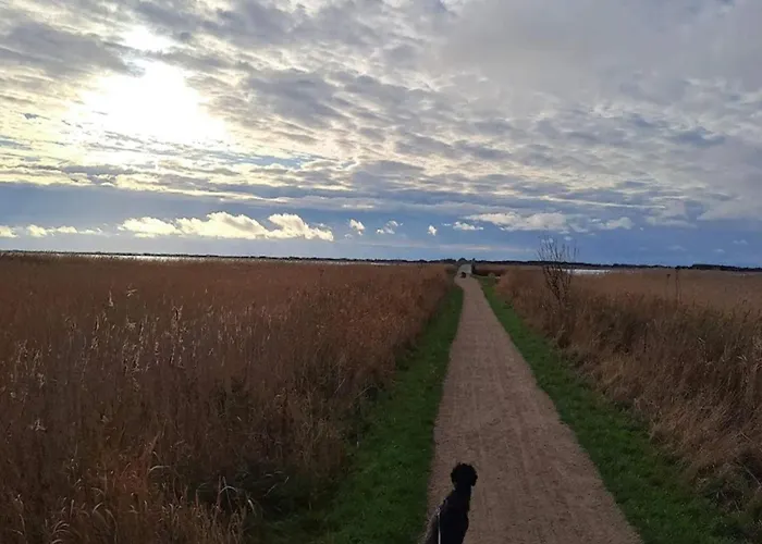 2 Person In Holiday home Ringkobing